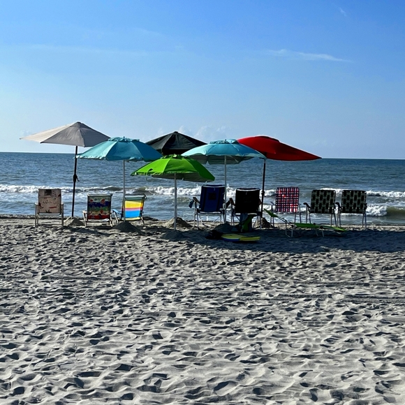 Meet your Posher, Cinaya - Picture 1 of 1